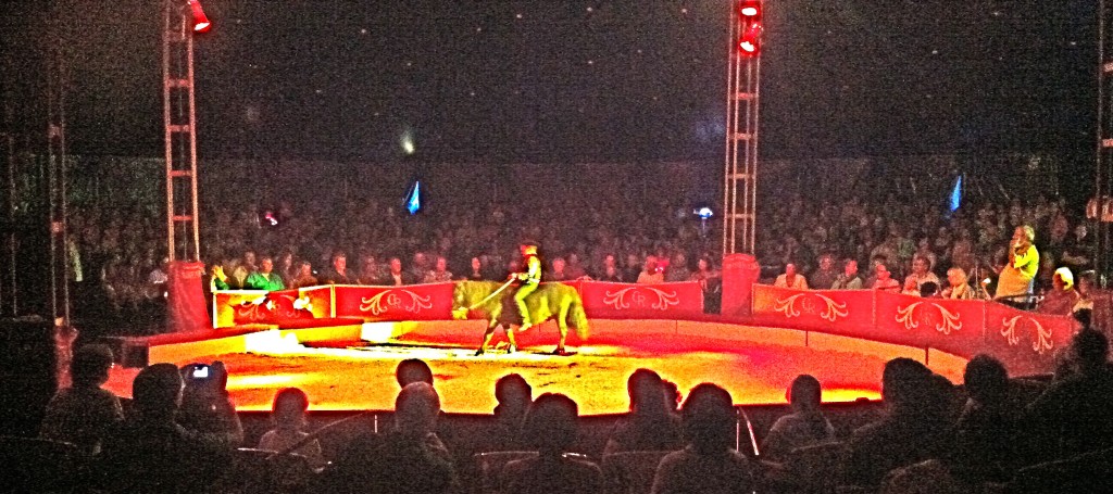 IMMERSCHLAU Circus Rondel Pony